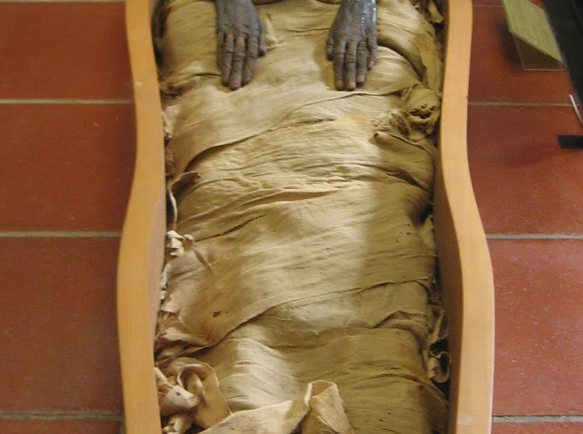 Egyptian mummies moved image